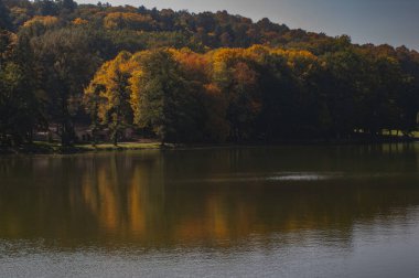 Gölü ve sonbahar ağaçları olan güzel bir manzara.