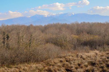 Kobuleti, Gürcistan 'daki Ispani Ulusal Parkı