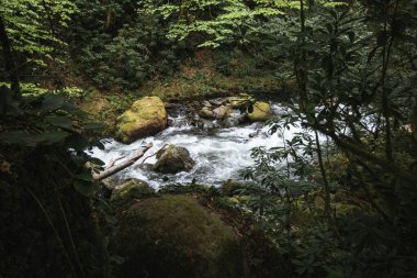 Gürcistan, Mtirala Ulusal Parkı 'nda göl