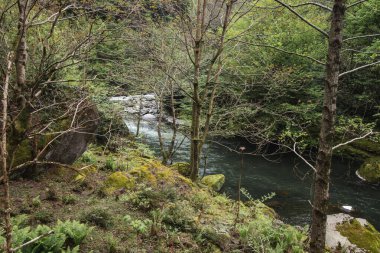 Gürcistan, Adjara 'daki Chakvistskali Nehri