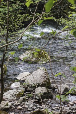 Gürcistan, Adjara 'daki Chakvistskali Nehri