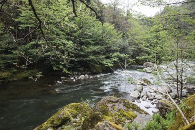 Gürcistan, Adjara 'daki Chakvistskali Nehri