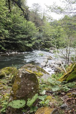 Gürcistan, Adjara 'daki Chakvistskali Nehri