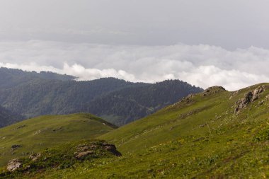 Georgia 'daki Bakhmaro köyü yakınlarındaki dağlar..