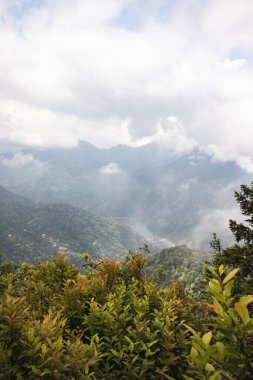 Orman ve çayırlarla kaplı bir dağ manzarası. Mtavarangelozi dağının manzarası. National Park, Georgia 'daki Machakhela Vadisi