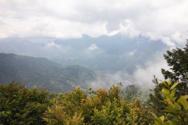 Orman ve çayırlarla kaplı bir dağ manzarası. Mtavarangelozi dağının manzarası. National Park, Georgia 'daki Machakhela Vadisi