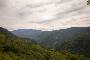 Arkasında yeşil çimenler ve bulutlu gökyüzü olan dağ manzarası. Adjara, Georgia
