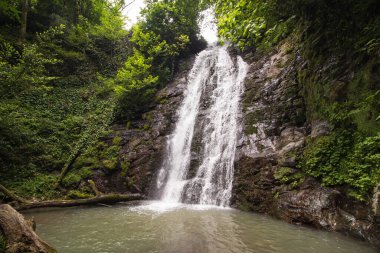 Yeşil ormandaki güzel Kapnistavi şelalesi. Adjara, Georgia