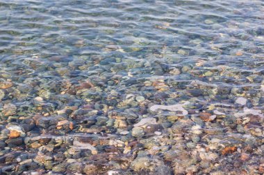 Deniz kıyısındaki deniz çakılları soyut bir arka plan olarak görülür..