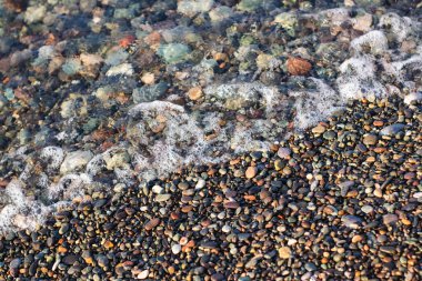 Deniz kıyısındaki deniz çakılları soyut bir arka plan olarak görülür..