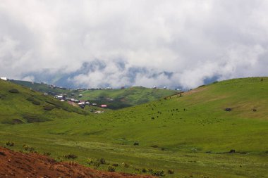 Highland Village Gomismta Bulutların altında, Guria, Georgia.