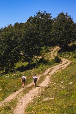 Two tourists are hiking in the mountains of Georgia, Goderdzi Pass.