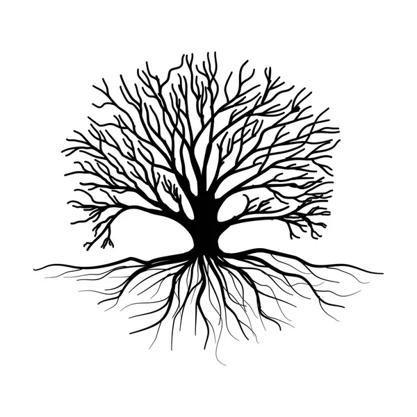 Чорні Дерева Корінь Листям Виглядають Красиво Освіжаюче Дерево Коріння Стиль — стоковий вектор