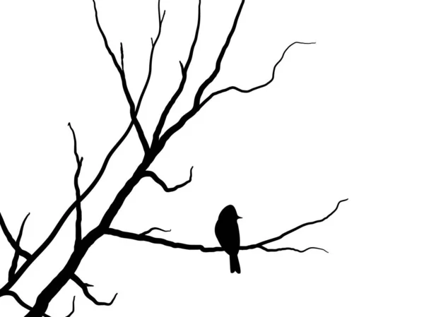 黑枝树或裸树的轮廓设置 手绘孤立的插图 图库矢量图片