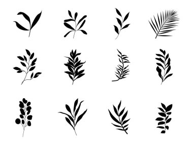 Eğreltiotu yeşil ormanının vektör tasarım elemanları koleksiyonu, yeşil uca yeşil sanat siluet güzellik dekorasyonunda doğal bitkiyi bırakır tasarım için zarif bir illüstrasyon.