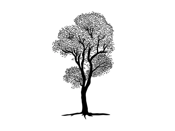 Чорна Гілка Або Голі Дерева Силуети Ручні Ілюстрації — стоковий вектор