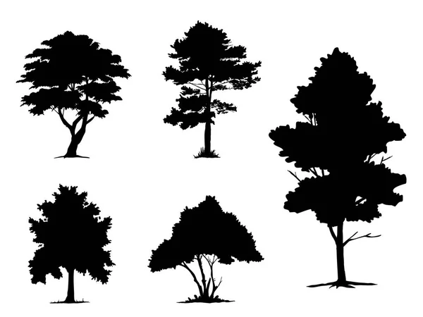 Árvore Ramo Preto Silhuetas Árvores Nuas Ilustrações Isoladas Desenhadas Mão — Vetor de Stock