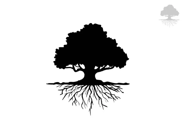 Árvore Ramo Preto Silhuetas Árvores Nuas Ilustrações Isoladas Desenhadas Mão — Vetor de Stock