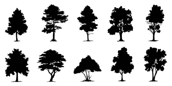 Zwarte Tak Boom Naakte Bomen Silhouetten Handgetekende Geïsoleerde Illustraties Stockvector