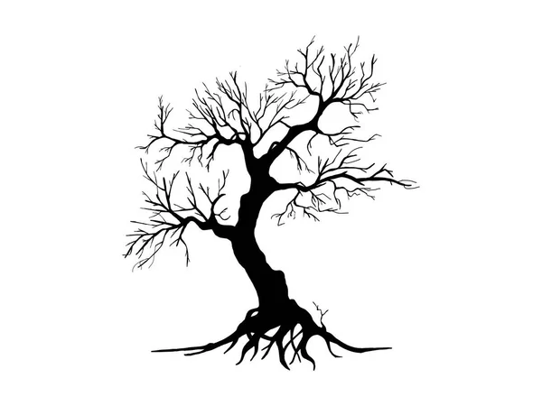 Black Branch Tree Sagome Alberi Nudi Illustrazioni Isolate Mano — Vettoriale Stock