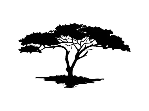 Czarne Drzewo Gałęziowe Lub Nagie Drzewa Sylwetki Ręcznie Rysowane Pojedyncze Ilustracja Stockowa