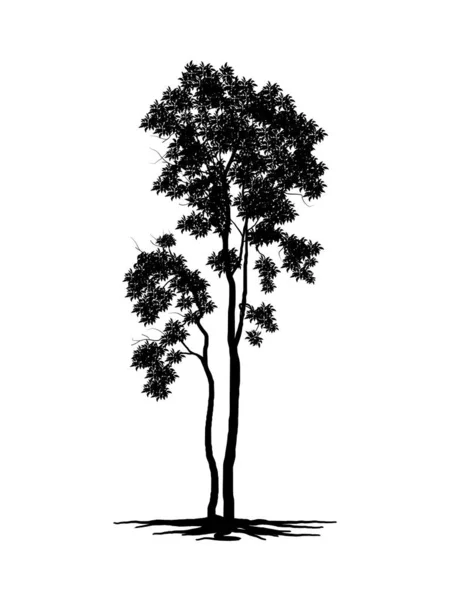 Czarne Drzewo Gałęziowe Lub Nagie Drzewa Sylwetki Ręcznie Rysowane Pojedyncze — Wektor stockowy