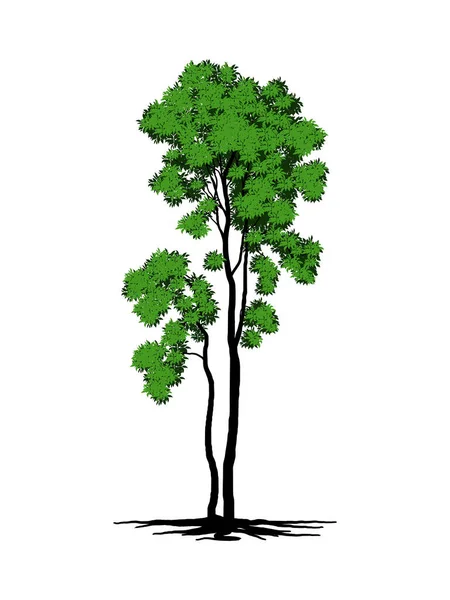 绿叶的树和根看起来美丽而清新 Logo风格的树和根 免版税图库插图