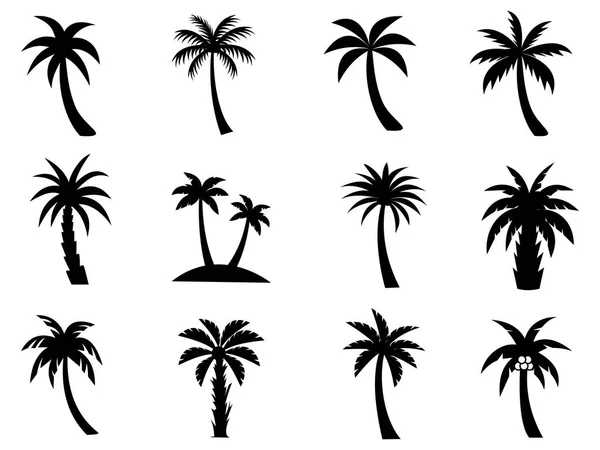 收集黑椰子树Icon 可用于说明任何自然或健康生活方式的主题 图库矢量图片