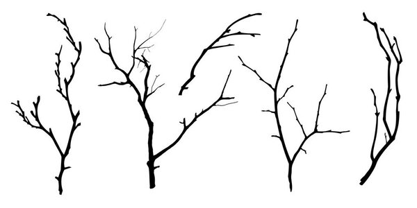 Black Branch Tree or Naked trees silhouettes set. Hand drawn isolated illustrations.