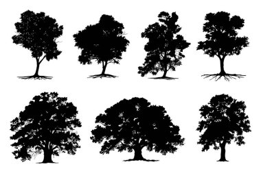 Kökü ya da çıplak ağaç silueti olan Kara Ağaç Koleksiyonu. El çizimi izole çizimler. Ağaç ve kökler LOGO biçimi.