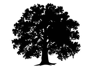 Kökü ya da çıplak ağaç silueti olan Kara Dal Ağacı. El çizimi izole çizimler. Ağaç ve kökler LOGO biçimi.