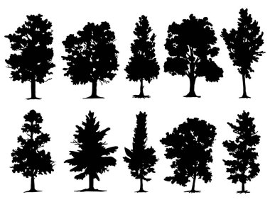 Kara ağaç kökü ya da çıplak ağaç silueti koleksiyonu. El çizimi izole çizimler. Ağaç ve kökler LOGO biçimi.