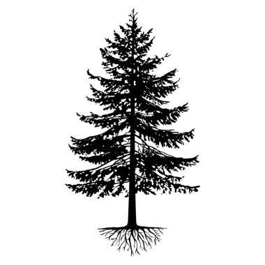 Yapraklı siyah ağaçlar ve kökler güzel ve ferahlatıcı görünüyor. Ağaç ve kökler LOGO biçimi.