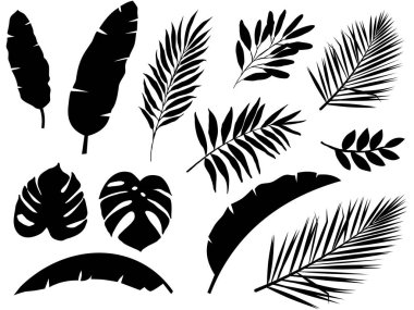 Siyah topikal bitki yaprakları çizilmiş. Beyaz arkaplanda sembol siluet biçimi.