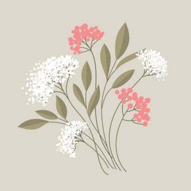 Beyaz ve pembe çiçek sapları ve yeşil yapraklı dallar. El çizimi izole çizimler.