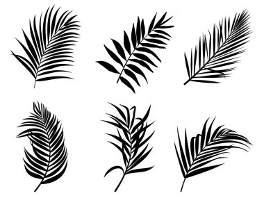 Eğreltiotu yeşil ormanının vektör tasarım elementleri koleksiyonu, yeşil sanat siluet güzellik dekorasyonunda doğal bitkiyi bırakır tasarım için zarif bir illüstrasyon.