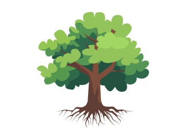 Yeşil yapraklı ağaç ve kökler güzel ve ferahlatıcı görünüyor. Ağaç ve kökler LOGO biçimi.