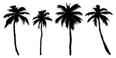 Palmiye ağaçlarının siluet koleksiyonu.