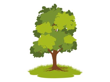 Yeşil yapraklı ağaç ve kökler güzel ve ferahlatıcı görünüyor. Ağaç ve kökler LOGO biçimi.