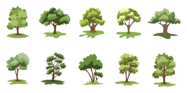 Düz ağaç ikonu koleksiyonu. Herhangi bir doğa ya da sağlıklı yaşam tarzını göstermek için kullanılabilir..