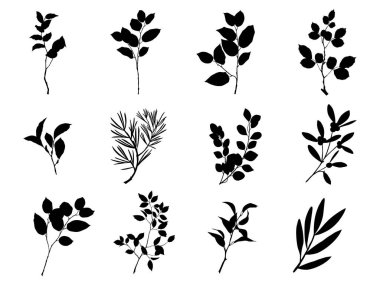 Vektör tasarım elementleri bitki yeşili orman koleksiyonu, yeşil sanat siluet güzellik dekorasyonunda doğal bitkiyi bırakır tasarım için zarif bir illüstrasyon.