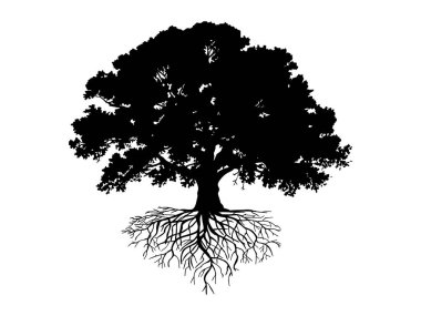 Yapraklı siyah ağaçlar ve kökler güzel ve ferahlatıcı görünüyor. Ağaç ve kökler LOGO biçimi.