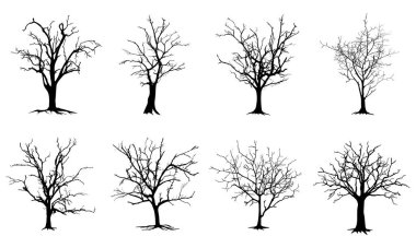 Kara Dal Ağacı ya da Çıplak Ağaç siluetleri. El çizimi izole çizimler.