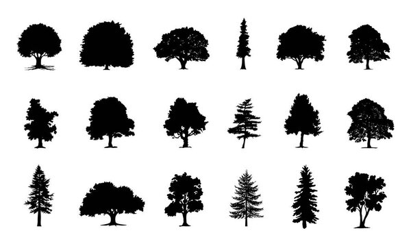 коллекция изолированных деревьев Символический силуэт стиль на белом фоне. Иллюстрации вручную.