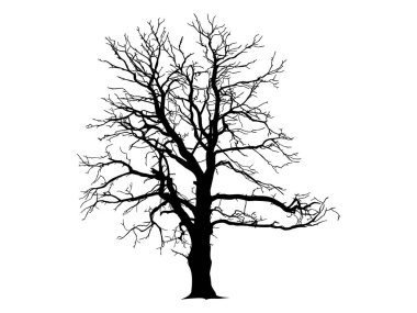 Kara Dal Ağacı ya da Çıplak Ağaç siluetleri. El çizimi izole çizimler.