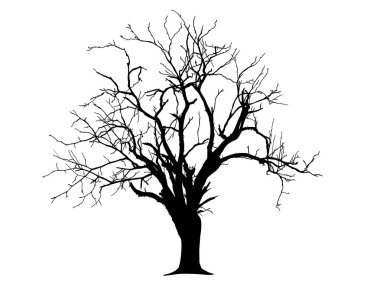 Kara Dal Ağacı ya da Çıplak Ağaç siluetleri. El çizimi izole çizimler.