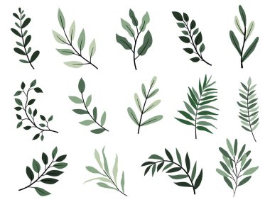 Vektör tasarım elementleri bitki yeşili orman koleksiyonu, yeşil sanat siluet güzellik dekorasyonunda doğal bitkiyi bırakır tasarım için zarif bir illüstrasyon.