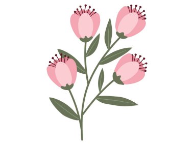 Beyaz arka planda pembe renkli küçük çiçekler..