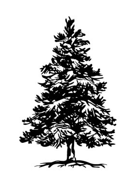 Yaprakları siluetli siyah ağaçlar ve kökler güzel ve ferahlatıcı görünüyor. Ağaç ve kökler LOGO tarzı. El çizimi izole çizimler.