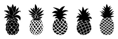 Siluet Ananas Tropikal Meyve seti. Vektör İllüstrasyonu. Satır ve Harf. Kart, Sancak.